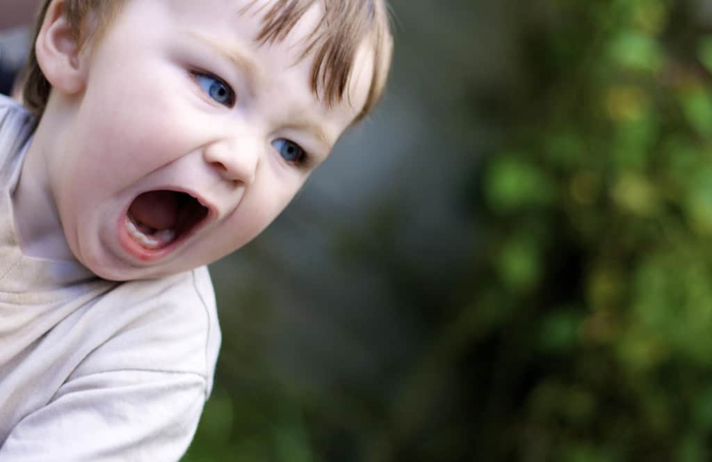 Toddler Screaming Closeup