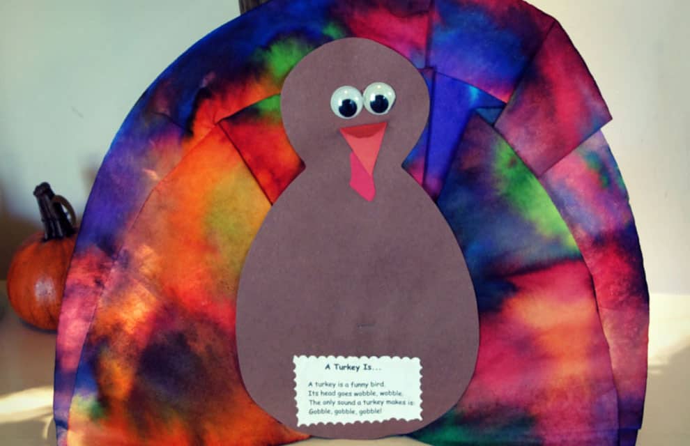 Turkey Coffee Filter Art